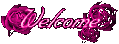 Welcome11